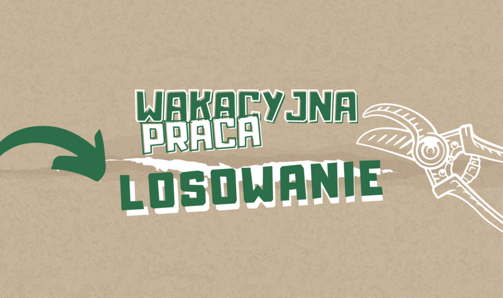 Zajęcia obrazek